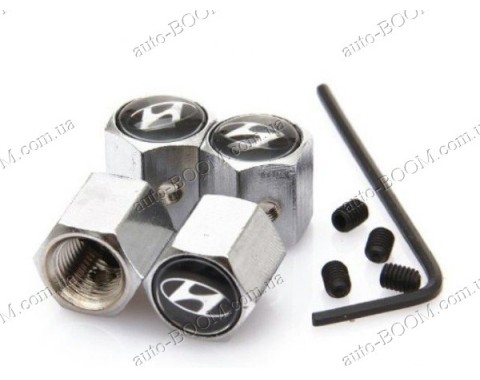 Колпачки на ниппель с логотипом Hyundai Elantra 5 10- (Carmos)