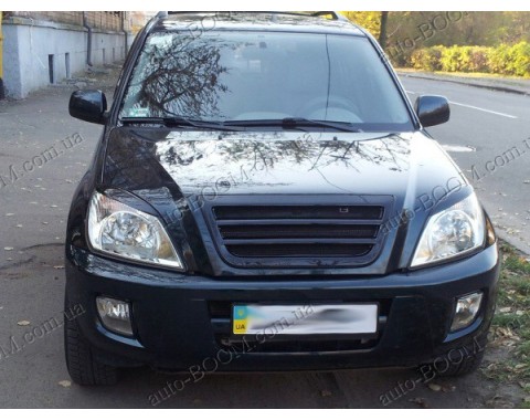 Реснички на фары Chery Tiggo 05-11 (Orticar)